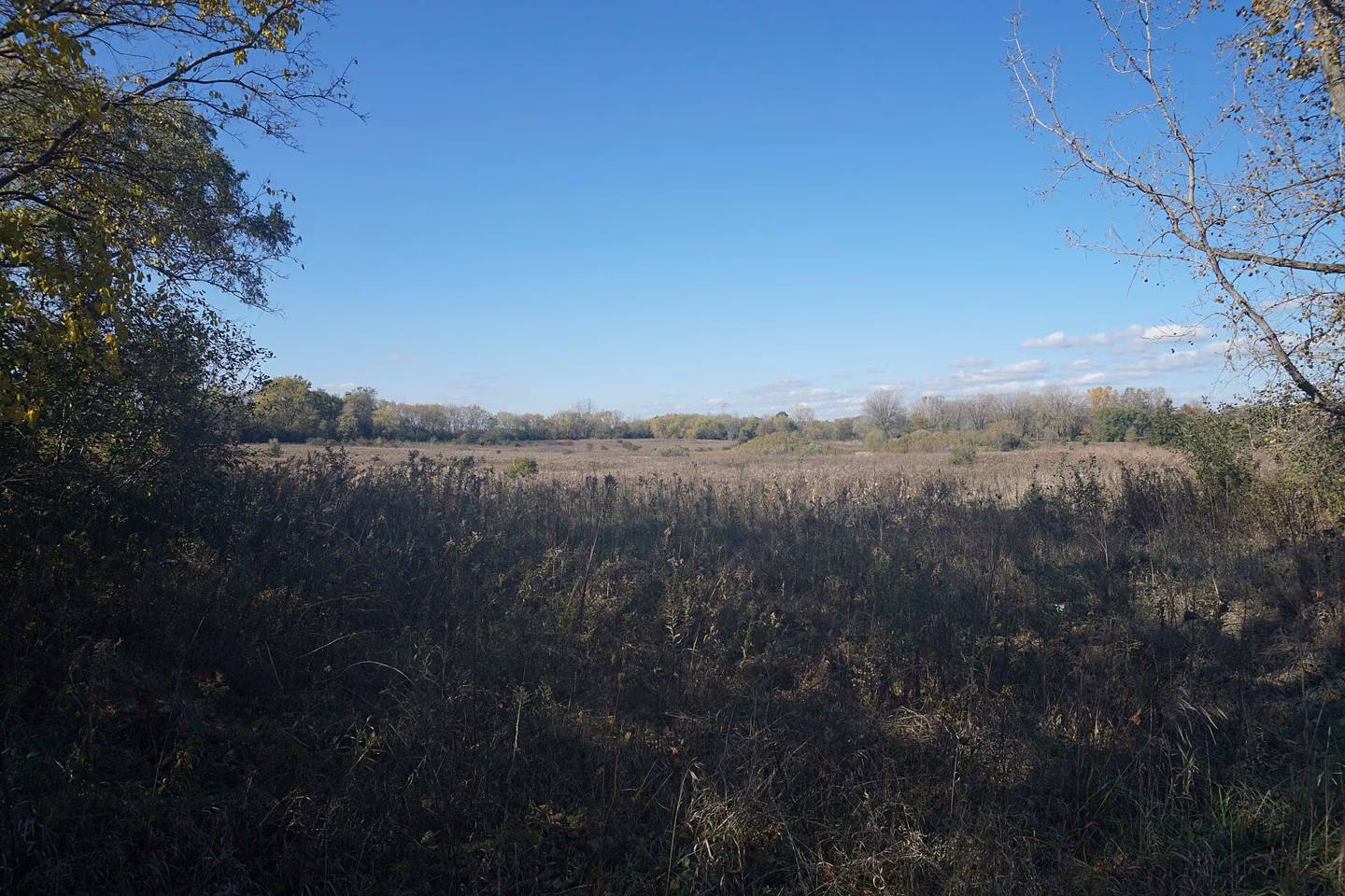 Havenwoods State Forest, Milwaukee.